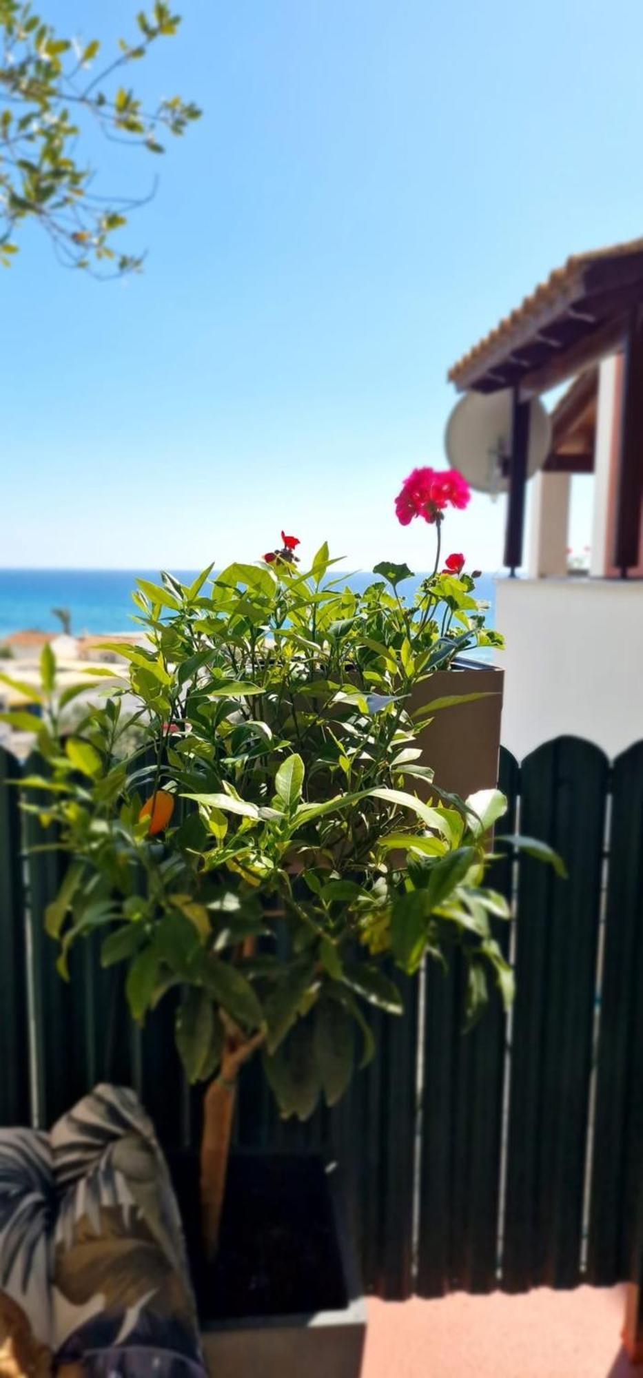 Seablue 137 Corfu Apartment Glyfada (Corfu)