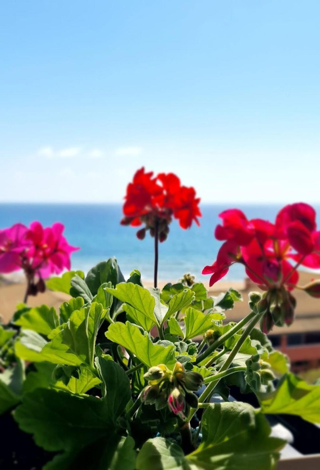 Apartment Seablue 137 Corfu Glyfada (Corfu)